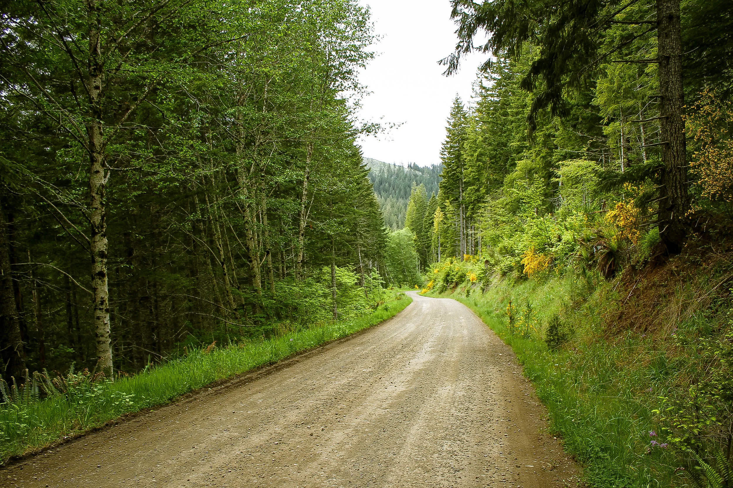 Coast Range Rambler: Cochran McGregor's Music — Our Mother The